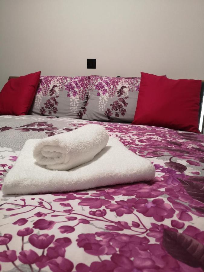 App Aleksa 6168 Catez ob Savi Exterior foto